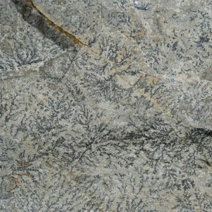 dendryt-paprocie-polska-mineraly (21).webp