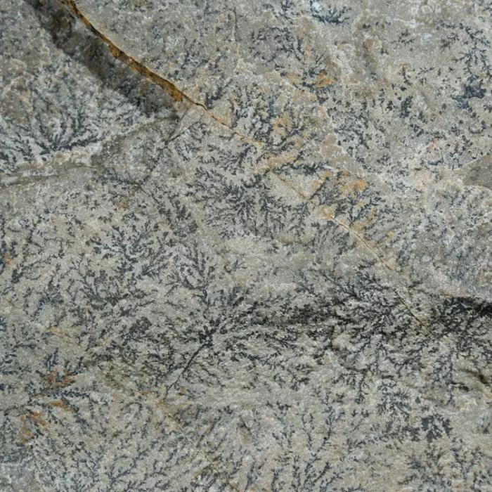 dendryt-paprocie-polska-mineraly (21).webp