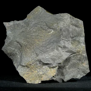 dendryt-paprocie-polska-mineraly (22).webp