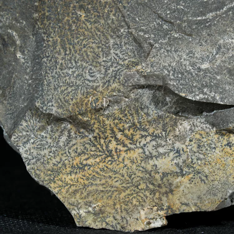 dendryt-paprocie-polska-mineraly (23).webp