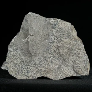 dendryt-paprocie-polska-mineraly (24).webp