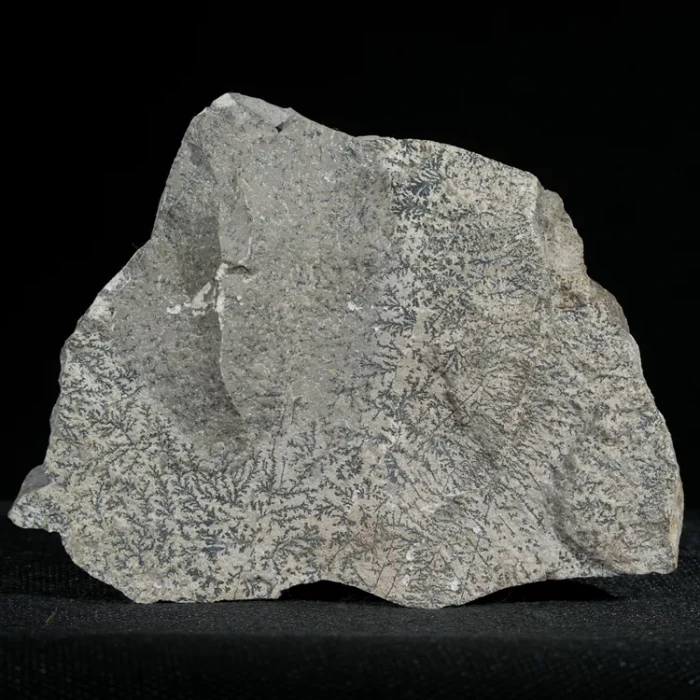 dendryt-paprocie-polska-mineraly (24).webp