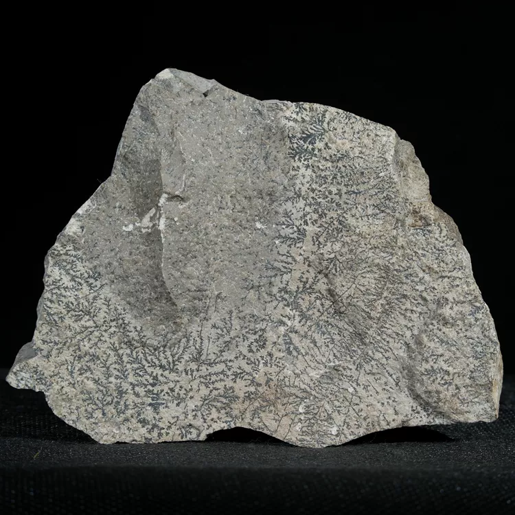 dendryt-paprocie-polska-mineraly (24).webp