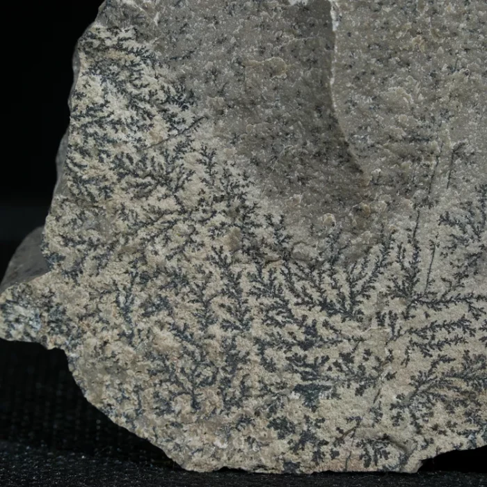 dendryt-paprocie-polska-mineraly (25).webp