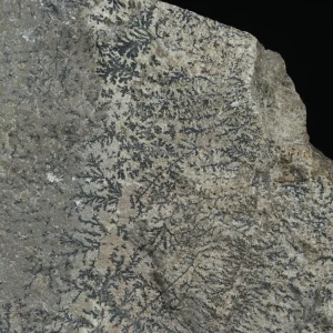 dendryt-paprocie-polska-mineraly (26).webp