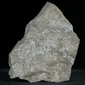 dendryt-paprocie-polska-mineraly (27).webp