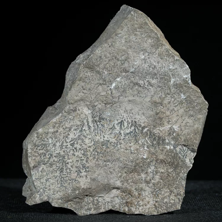 dendryt-paprocie-polska-mineraly (27).webp