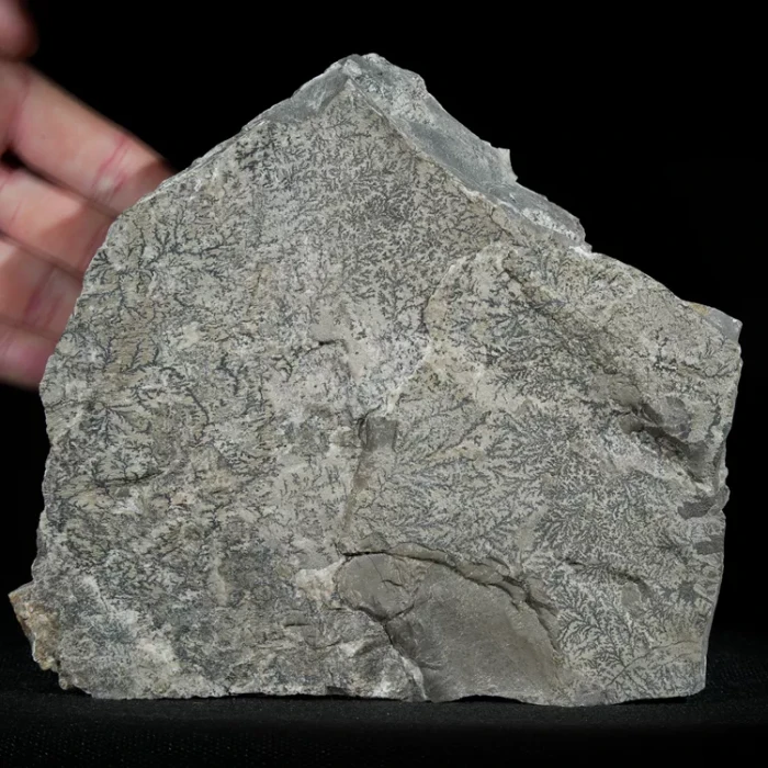 dendryt-paprocie-polska-mineraly (28).webp