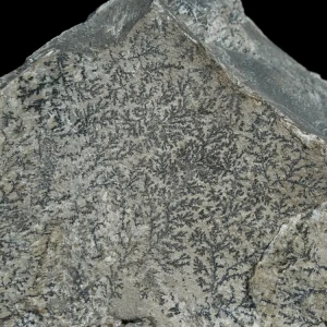 dendryt-paprocie-polska-mineraly (29).webp