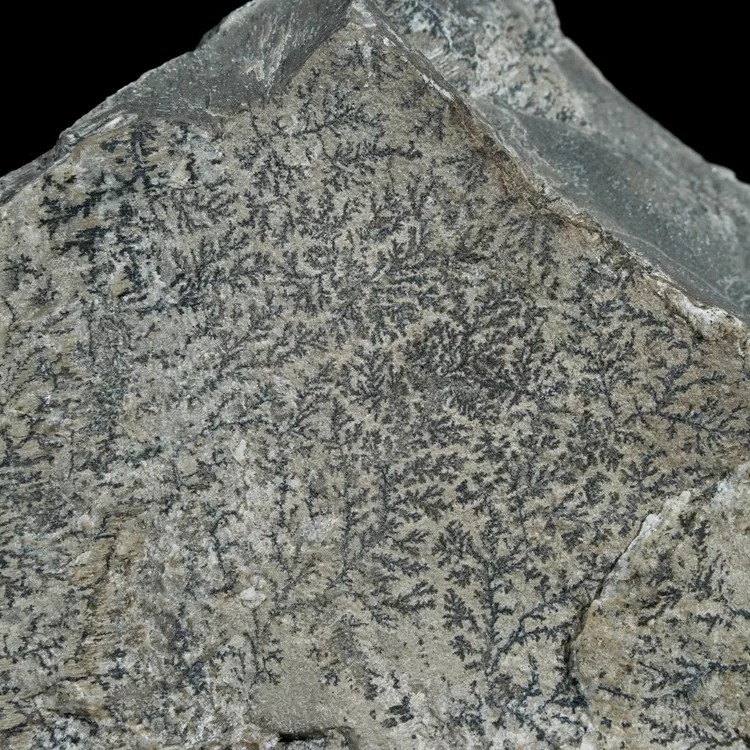dendryt-paprocie-polska-mineraly (29).webp