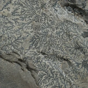 dendryt-paprocie-polska-mineraly (30).webp