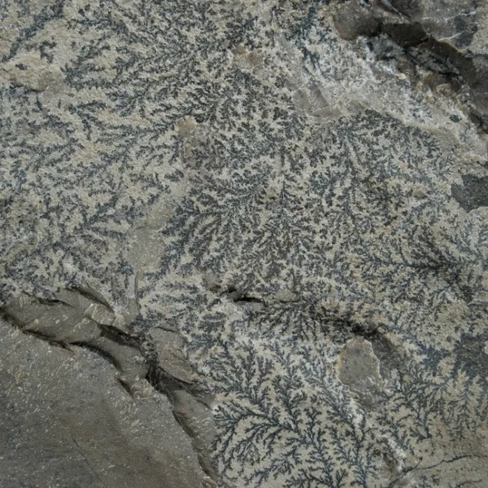 dendryt-paprocie-polska-mineraly (30).webp