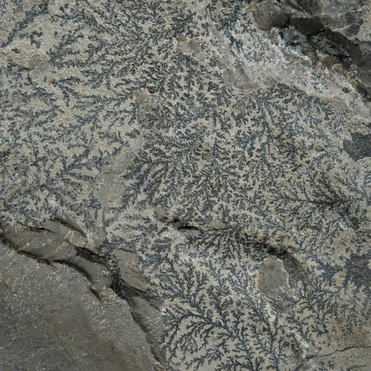 dendryt-paprocie-polska-mineraly (30).webp