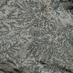 dendryt-paprocie-polska-mineraly (31).webp