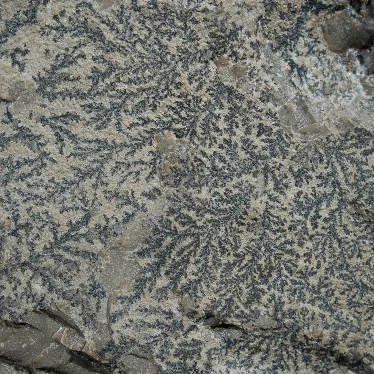 dendryt-paprocie-polska-mineraly (31).webp