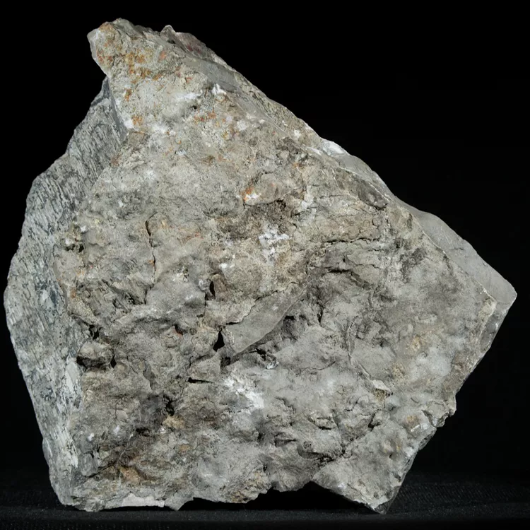 dendryt-paprocie-polska-mineraly (32).webp