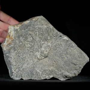 dendryt-paprocie-polska-mineraly (33).webp