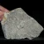 dendryt-paprocie-polska-mineraly (33).webp