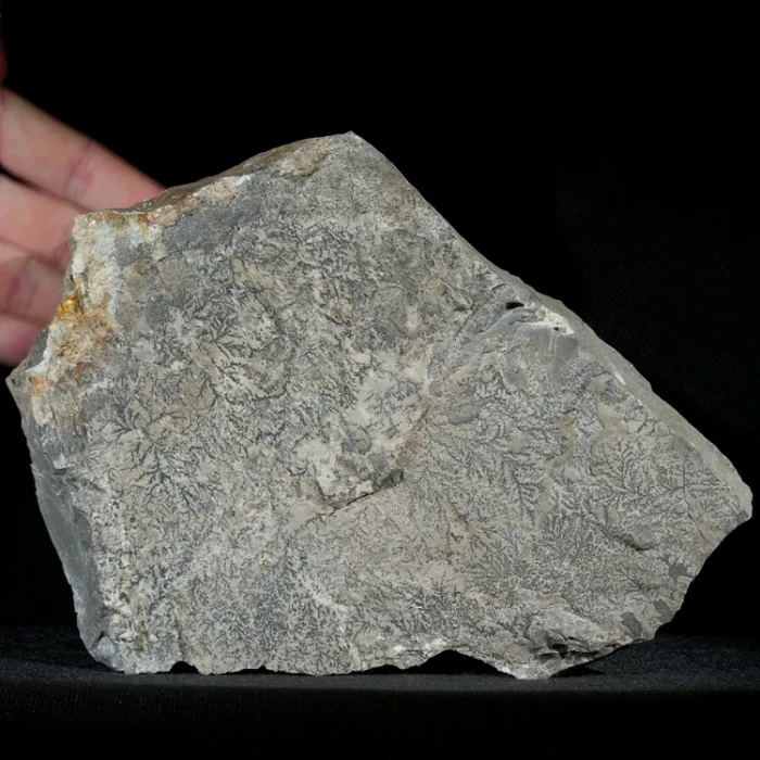 dendryt-paprocie-polska-mineraly (33).webp