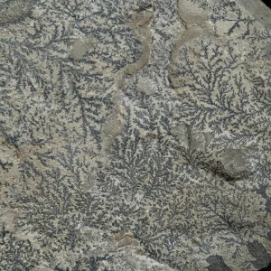 dendryt-paprocie-polska-mineraly (34).webp