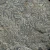 dendryt-paprocie-polska-mineraly (34).webp