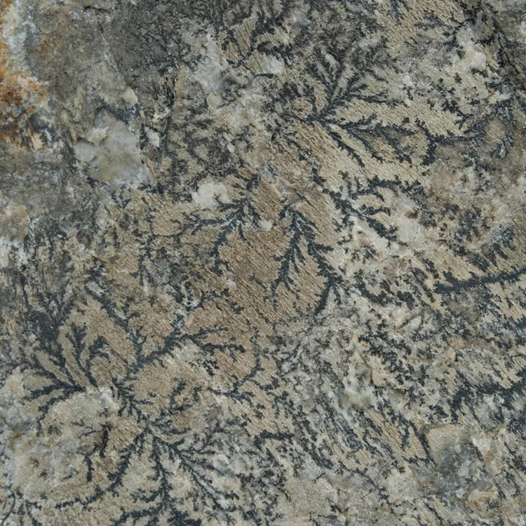 dendryt-paprocie-polska-mineraly (35).webp