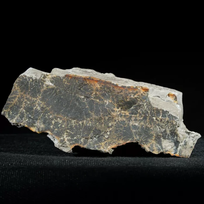 dendryt-paprocie-polska-mineraly (37).webp