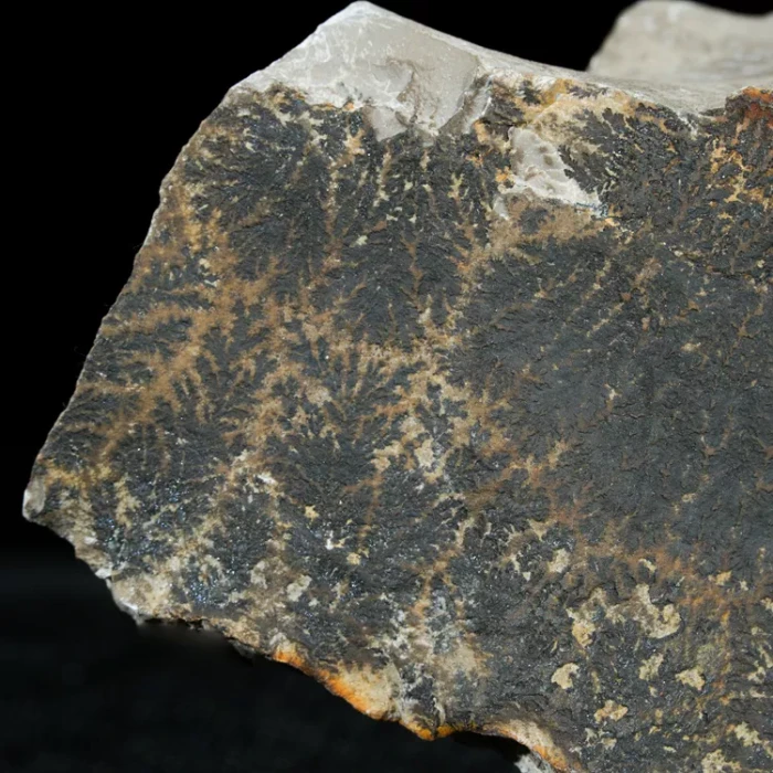 dendryt-paprocie-polska-mineraly (38).webp