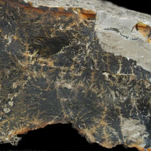 dendryt-paprocie-polska-mineraly (39).webp