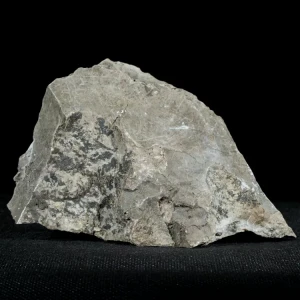 dendryt-paprocie-polska-mineraly (40).webp