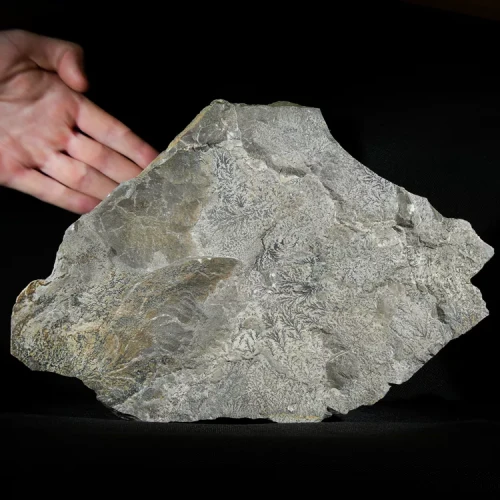 dendryt-paprocie-polska-mineraly (41).webp
