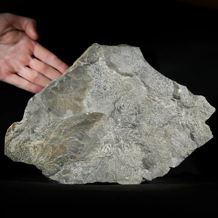 dendryt-paprocie-polska-mineraly (41).webp