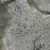 dendryt-paprocie-polska-mineraly (42).webp