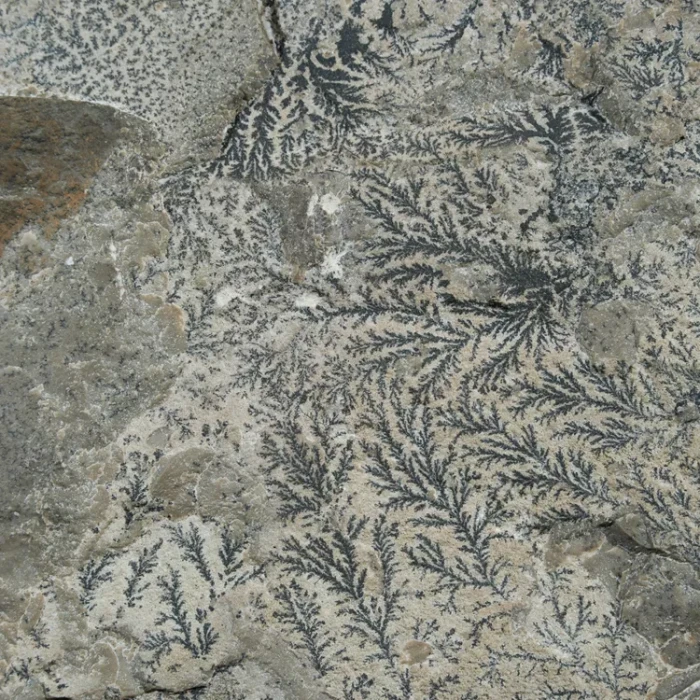 dendryt-paprocie-polska-mineraly (43).webp