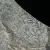 dendryt-paprocie-polska-mineraly (44).webp