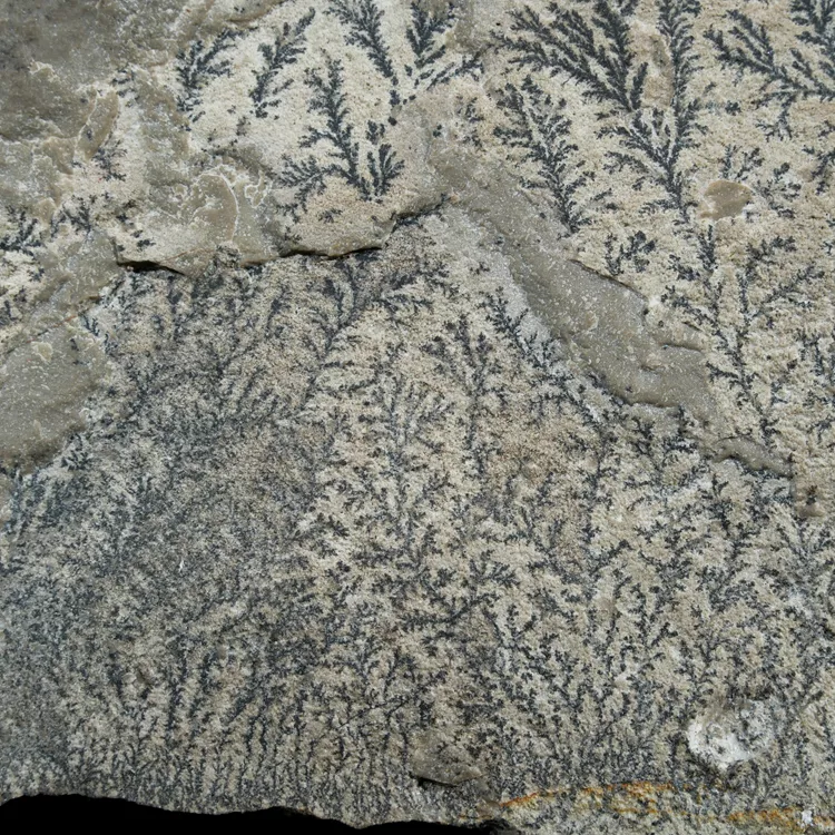 dendryt-paprocie-polska-mineraly (45).webp