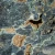 wavelitte-mineraly-z-polski (26) (Copy).webp