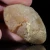 agaty-australia-agate-creek-queensland (8) (Copy).webp