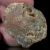 agaty-australia-agate-creek-queensland (21) (Copy).webp