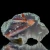 agaty-z-ploczek-gornych-lwowek-slaski (27) (Copy).webp
