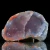 agaty-z-ploczek-gornych-lwowek-slaski (1) (Copy).webp