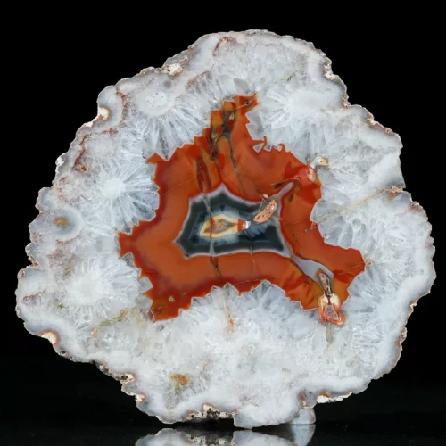 agaty-argentyna-patagonia-puma-agate (1) (Copy).webp