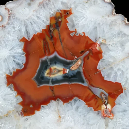 agaty-argentyna-patagonia-puma-agate (2) (Copy).webp
