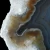 agaty-argentyna-patagonia-puma (6) (Copy).webp