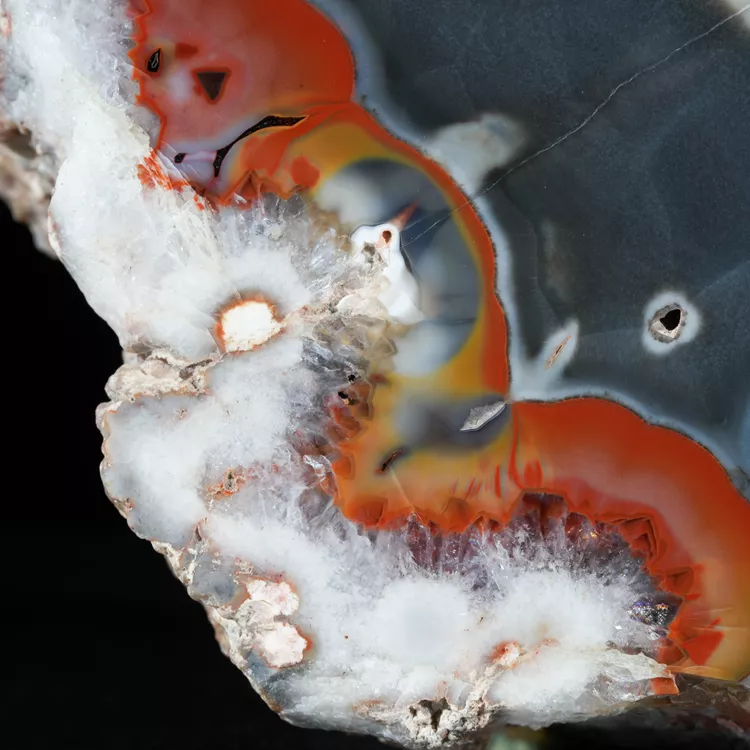 agaty-argentyna-patagonia-puma-agate (10) (Copy).webp