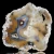 agaty-argentyna-patagonia-puma-agate (42) (Copy).webp