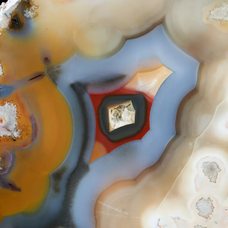 agaty-argentyna-patagonia-puma-agate (43) (Copy).webp