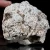agaty-argentyna-patagonia-puma-agate (44) (Copy).webp