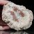 agaty-argentyna-patagonia-puma (15) (Copy).webp