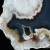 agaty-argentyna-patagonia-puma-agate (13) (Copy).webp